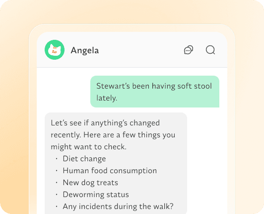 Chat Container