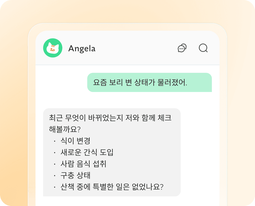 Chat Container