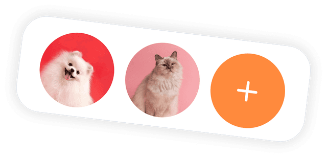 Pet Info 1